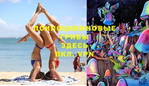 герыч Алзамай