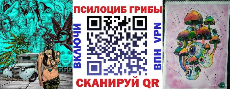 omg как войти  Кудрово  Галлюциногенные грибы мицелий  дарнет шоп 